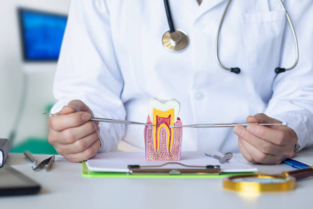 Best Emergency Cosmetic Dentistry (e.g., broken veneers) in Iola, KS